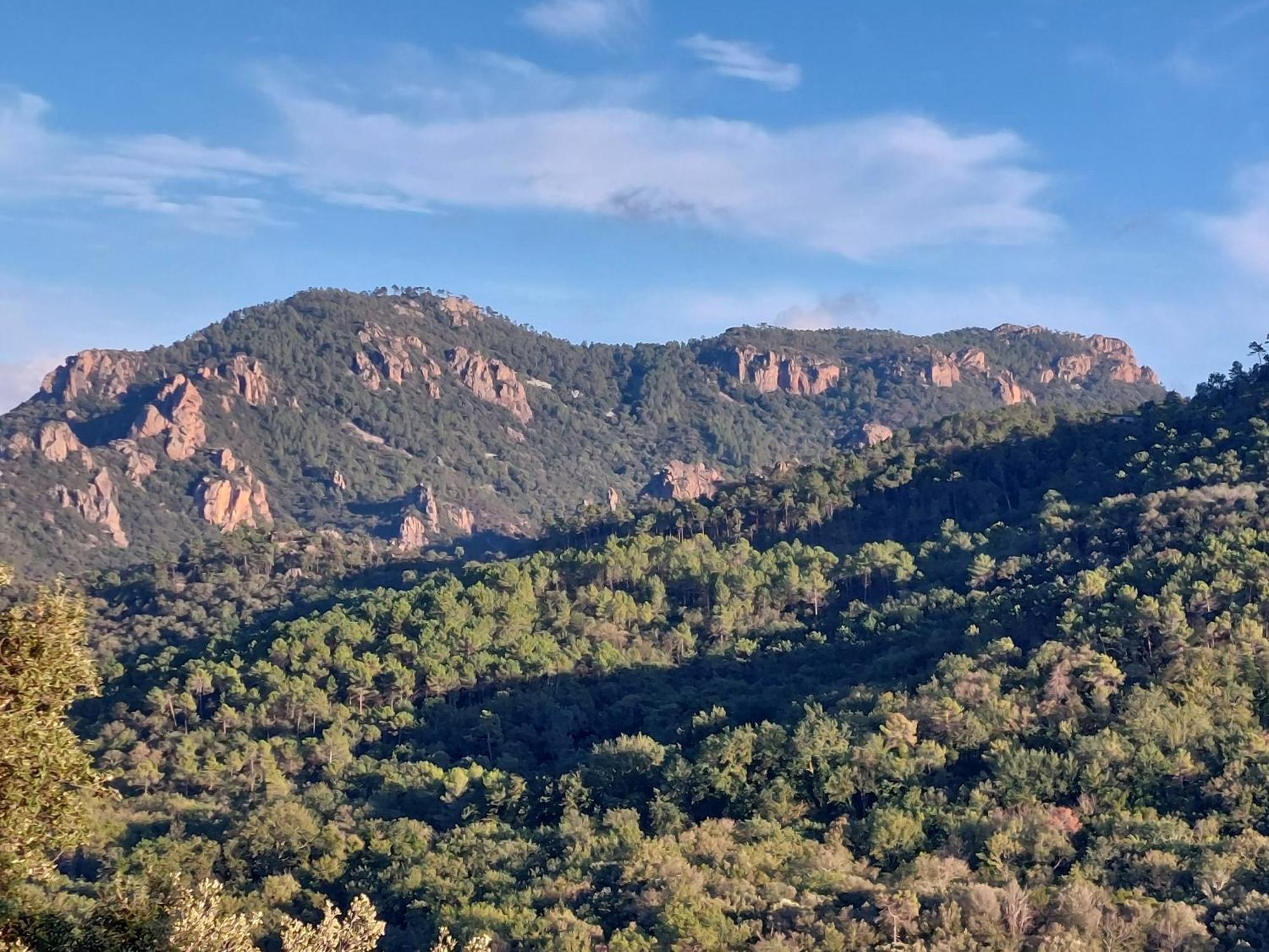 Hotel Sawubona Les Adrets-de-l'Esterel Zewnętrze zdjęcie